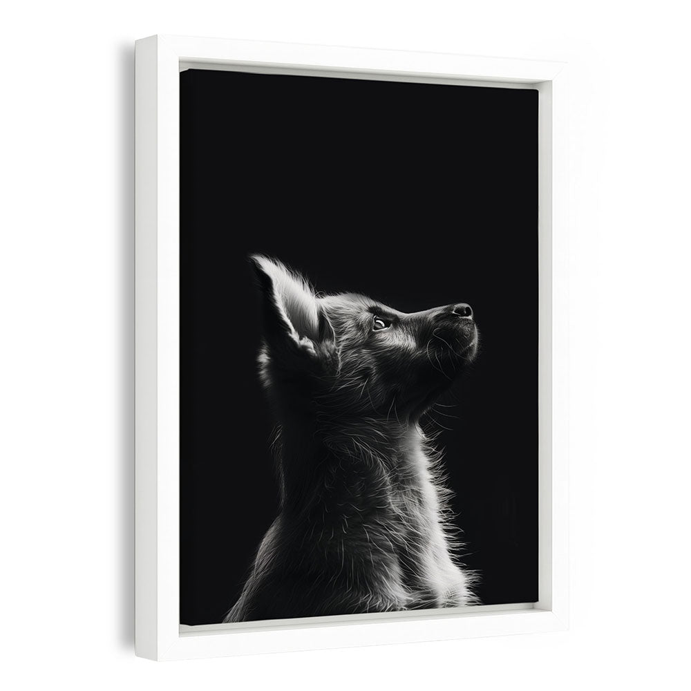 Gerahmte Leinwand Hund