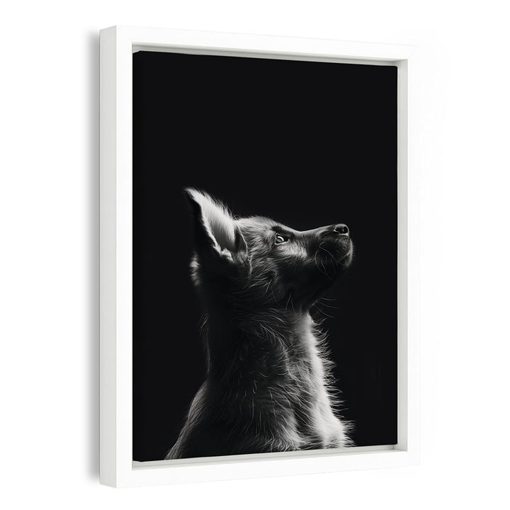 Gerahmte Leinwand Hund