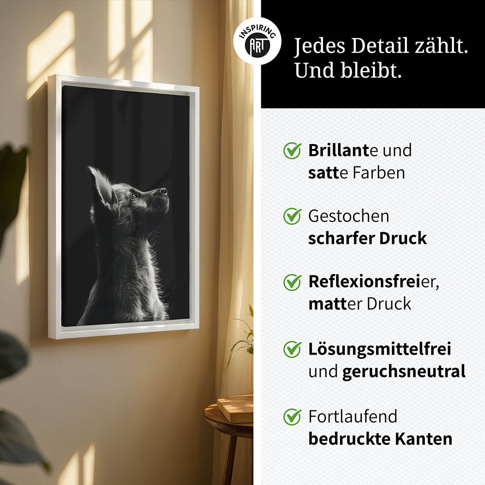 Leinwandbild: Tierporträt Hund "Lex" in Schwarz-Weiß