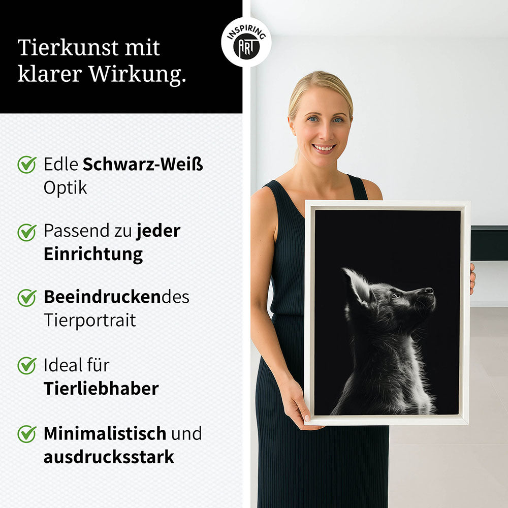 Leinwandbild: Tierporträt Hund "Lex" in Schwarz-Weiß