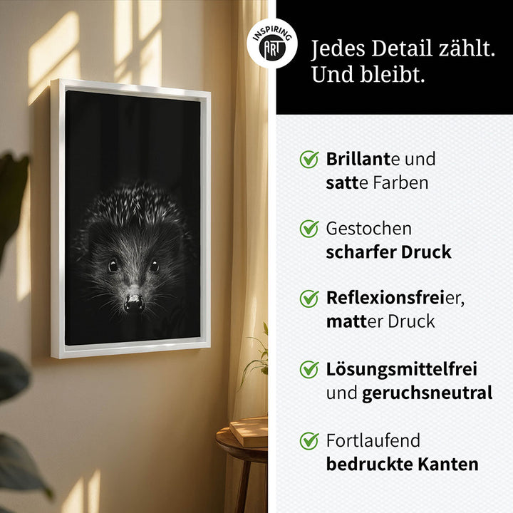 Leinwandbild: Tierporträt Igel "Stitch" in Schwarz-Weiß