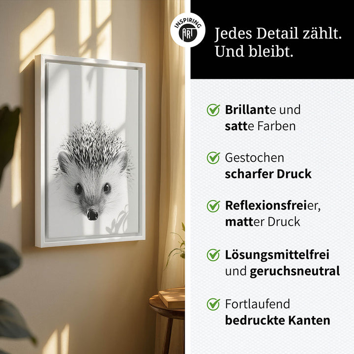 Leinwandbild: Tierporträt Igel "Pico" in Schwarz-Weiß