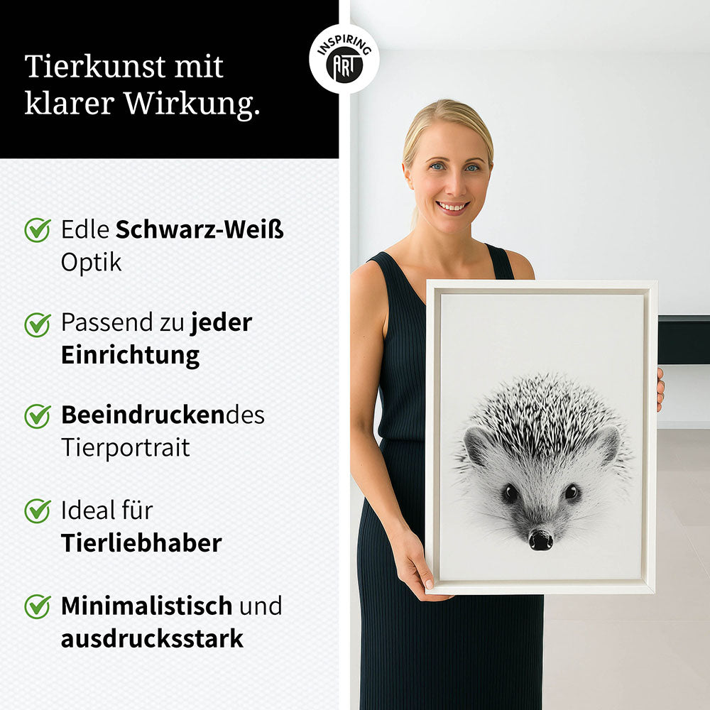 Leinwandbild: Tierporträt Igel "Pico" in Schwarz-Weiß