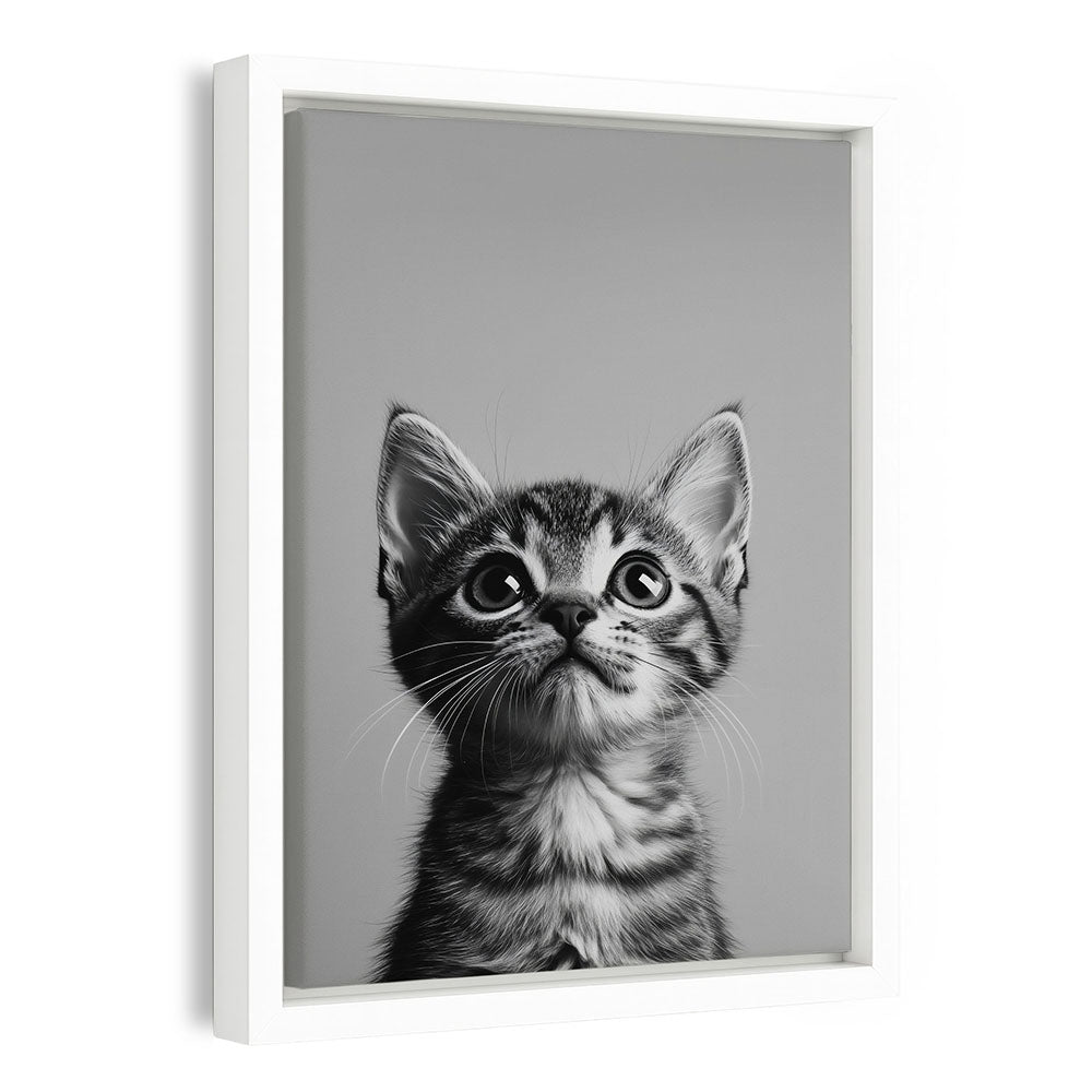 Leinwandbild Katze Schwarz Weiß