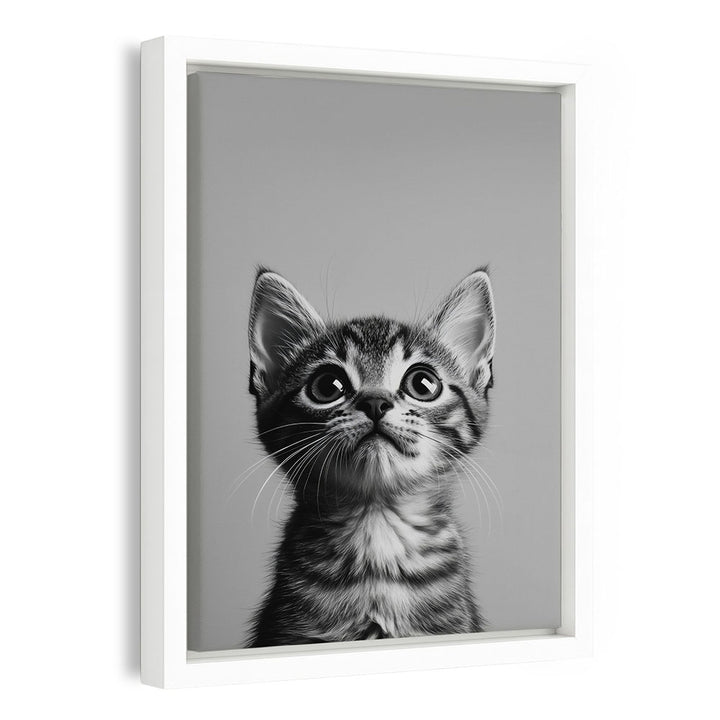 Leinwandbild Katze Schwarz Weiß