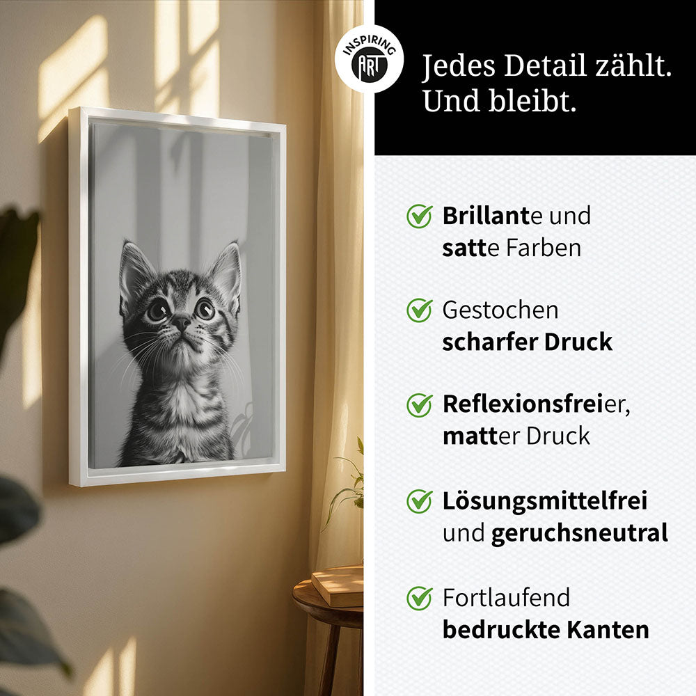 Leinwandbild: Tierporträt Katze "Nova" in Schwarz-Weiß