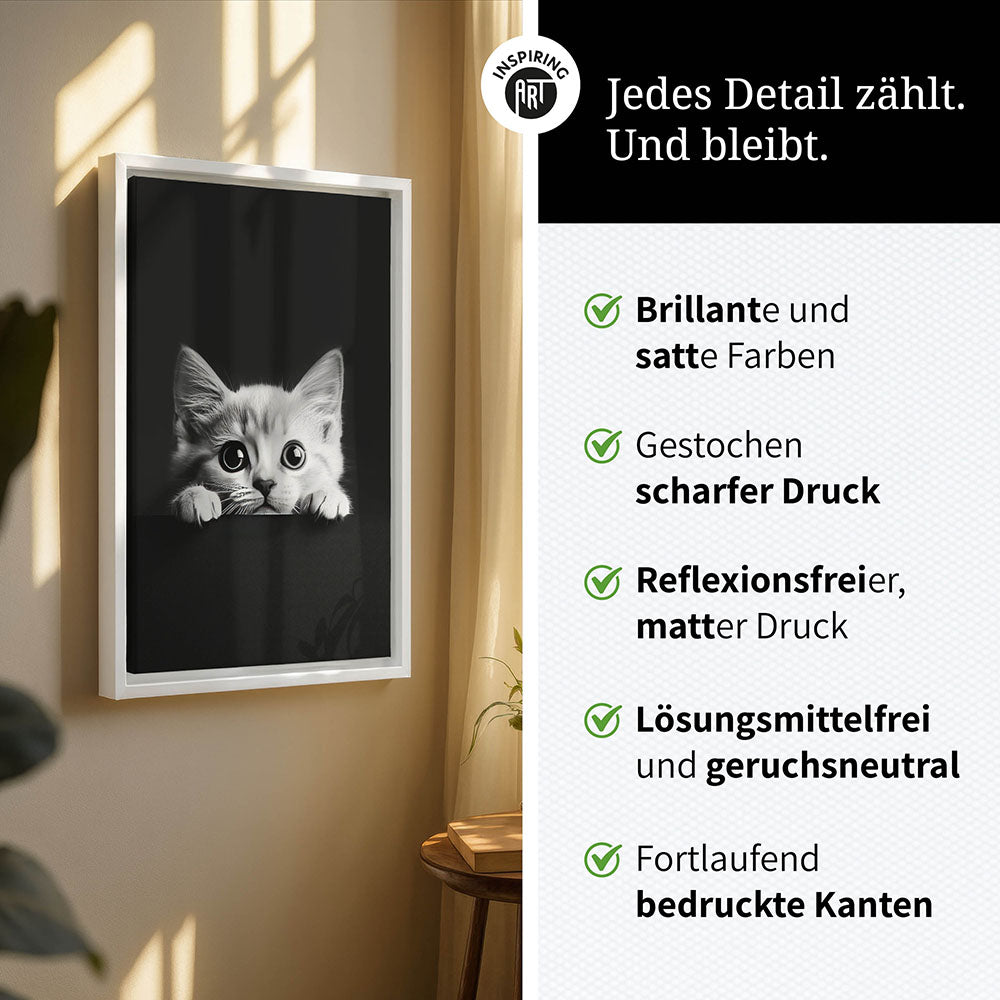 Leinwandbild: Tierporträt Katze "Misty" in Schwarz-Weiß