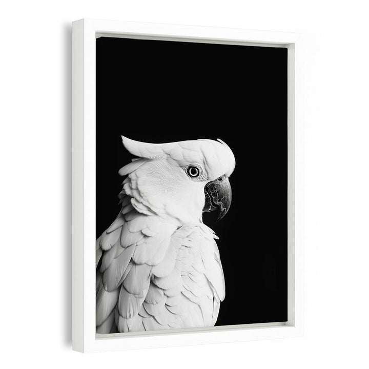 Papagei Wandbild 