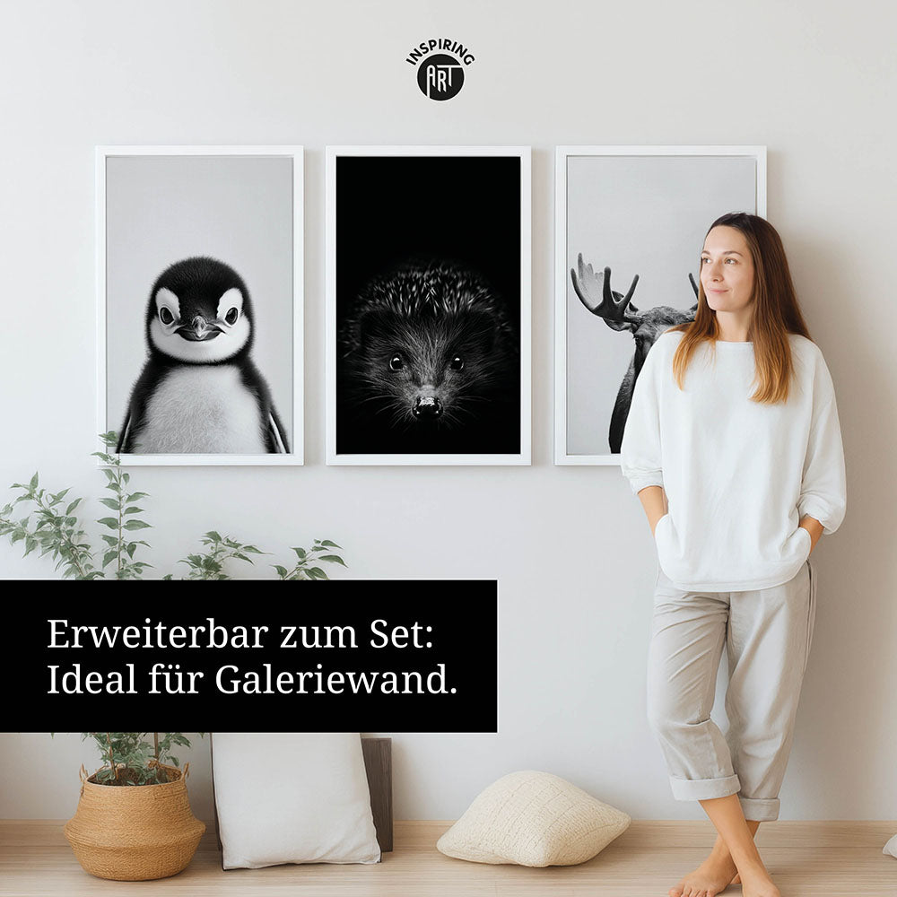 Leinwandbild: Tierporträt Katze "Snowy" in Schwarz-Weiß