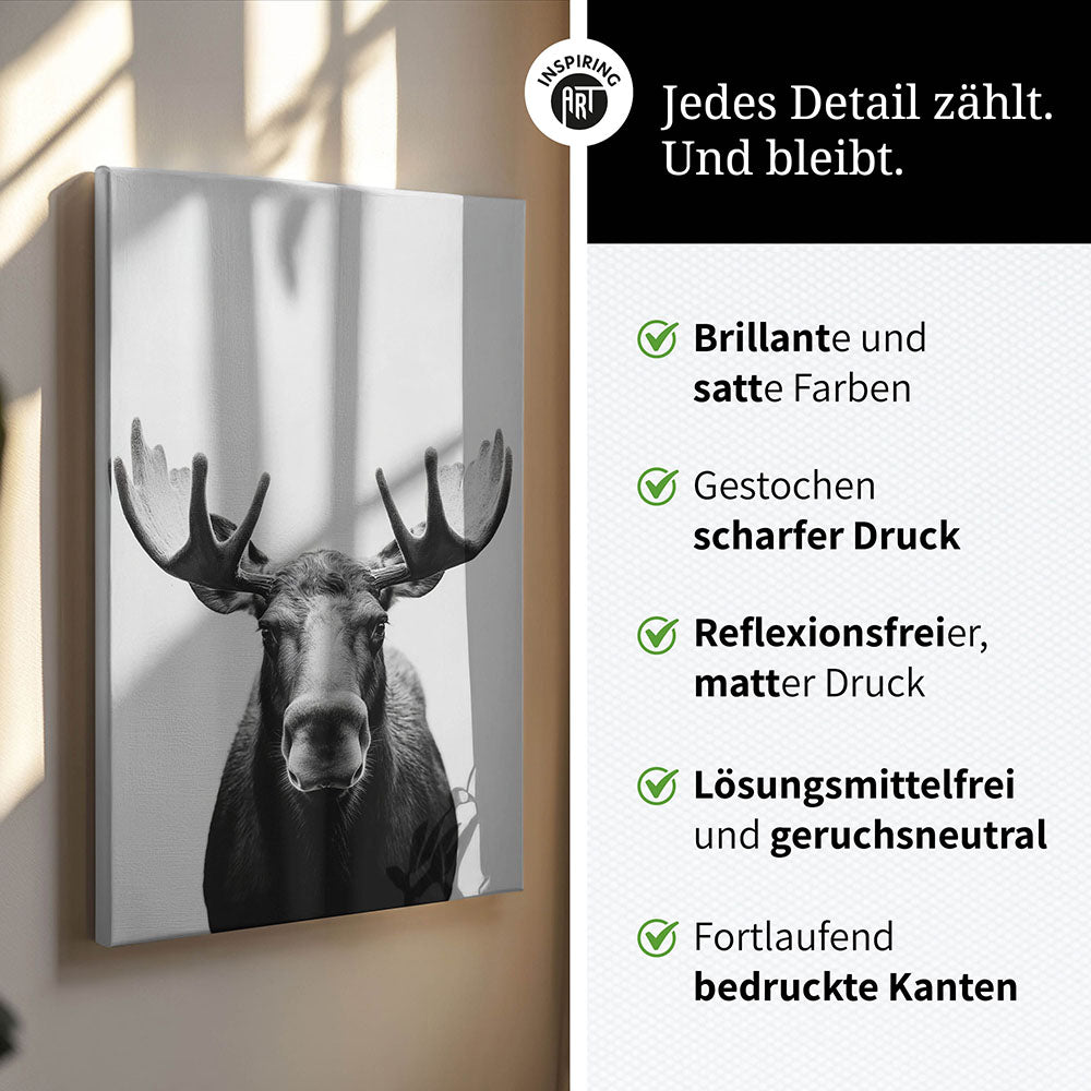 Leinwandbild: Tierporträt Elch "Thorin" in Schwarz-Weiß