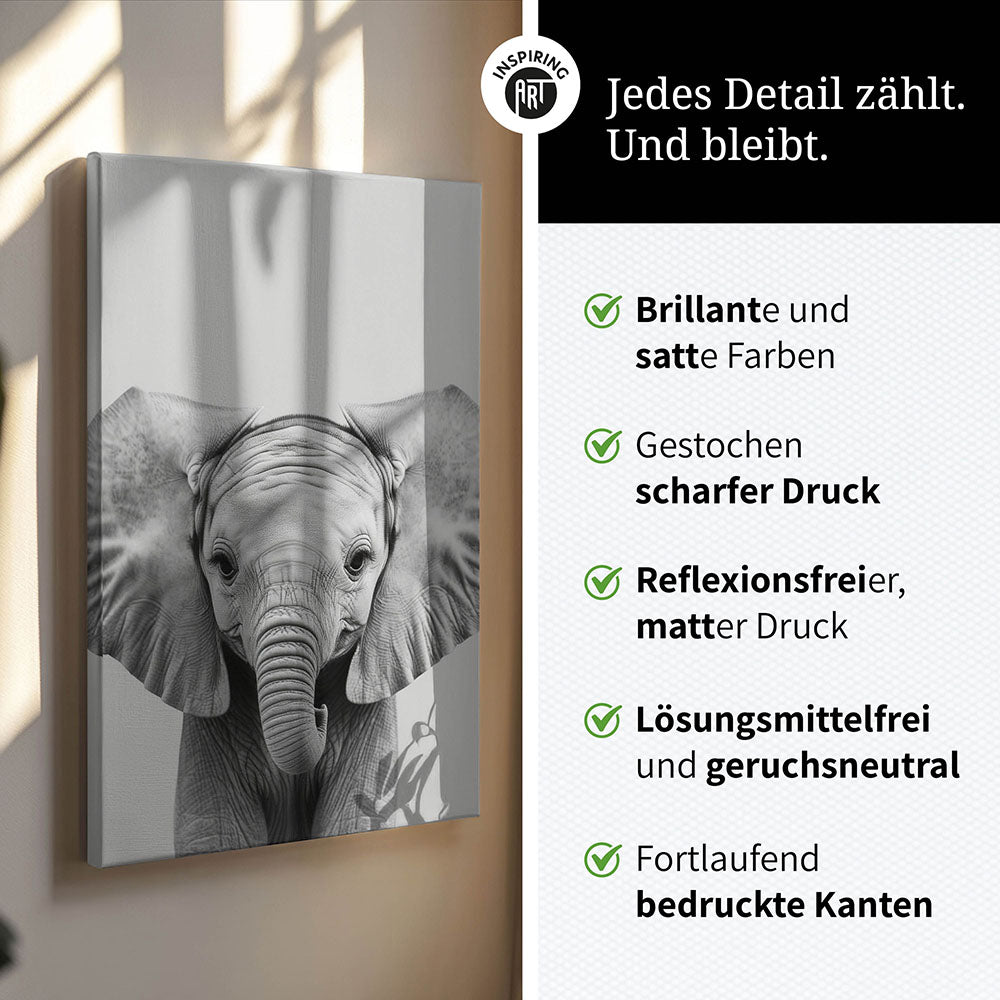 Leinwandbild: Tierporträt Elefant "Kaya" in Schwarz-Weiß