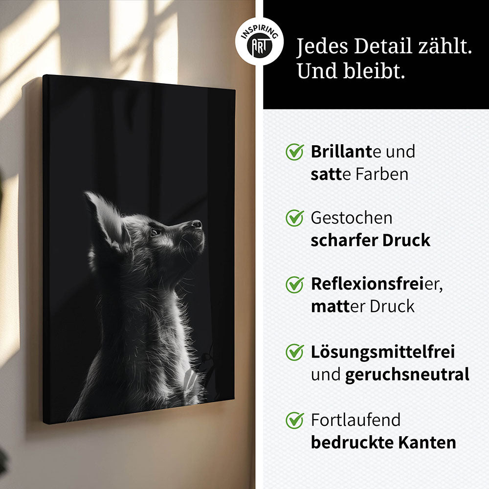 Leinwandbild: Tierporträt Hund "Lex" in Schwarz-Weiß