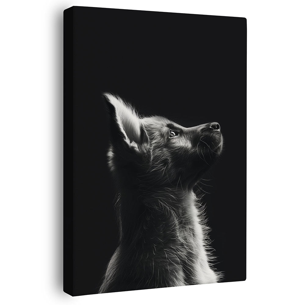 Leinwandbild Hund Schwarz Weiß Tierbild