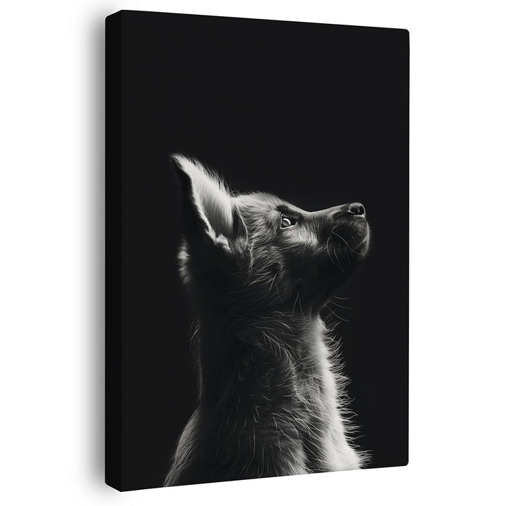 Leinwandbild Hund Schwarz Weiß Tierbild