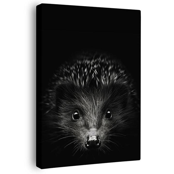 Wandbild Igel Schwarz Weiß