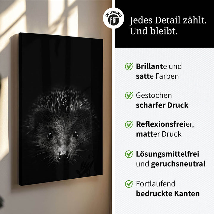 Leinwandbild: Tierporträt Igel "Stitch" in Schwarz-Weiß