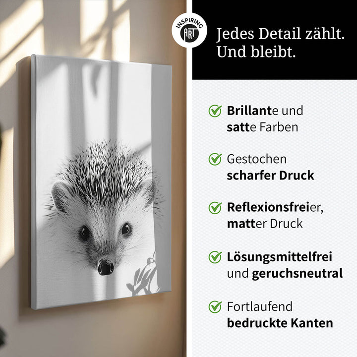 Leinwandbild: Tierporträt Igel "Pico" in Schwarz-Weiß