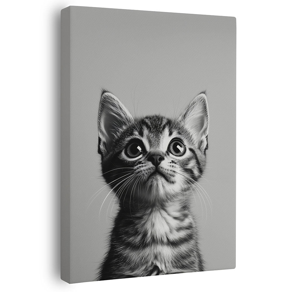 Wandbild Katze Schwarz Weiß Druck