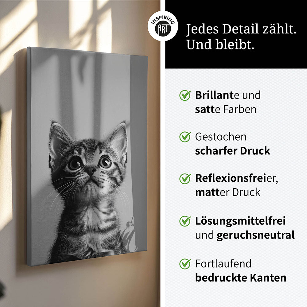 Leinwandbild: Tierporträt Katze "Nova" in Schwarz-Weiß