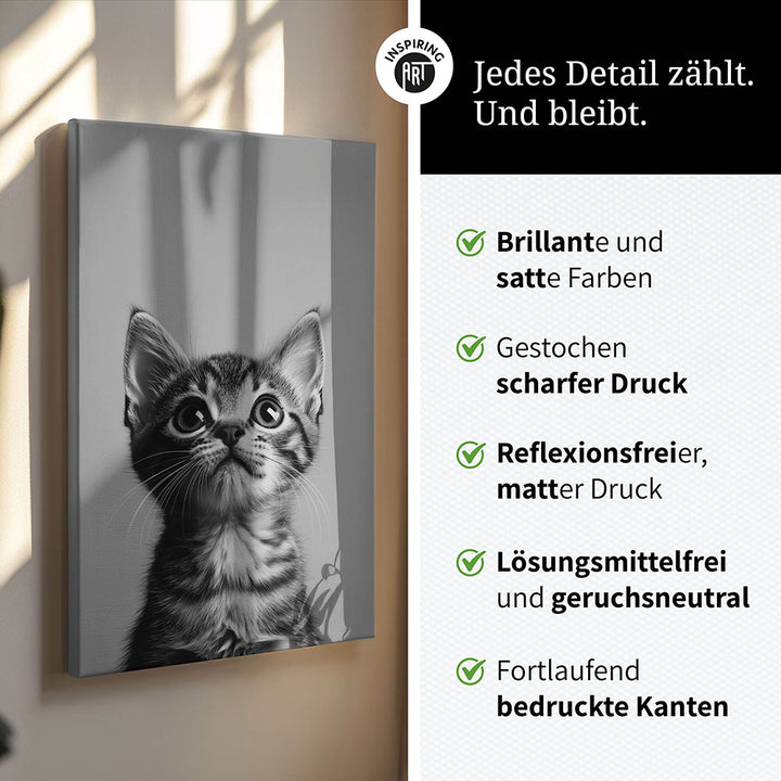 Leinwandbild: Tierporträt Katze "Nova" in Schwarz-Weiß