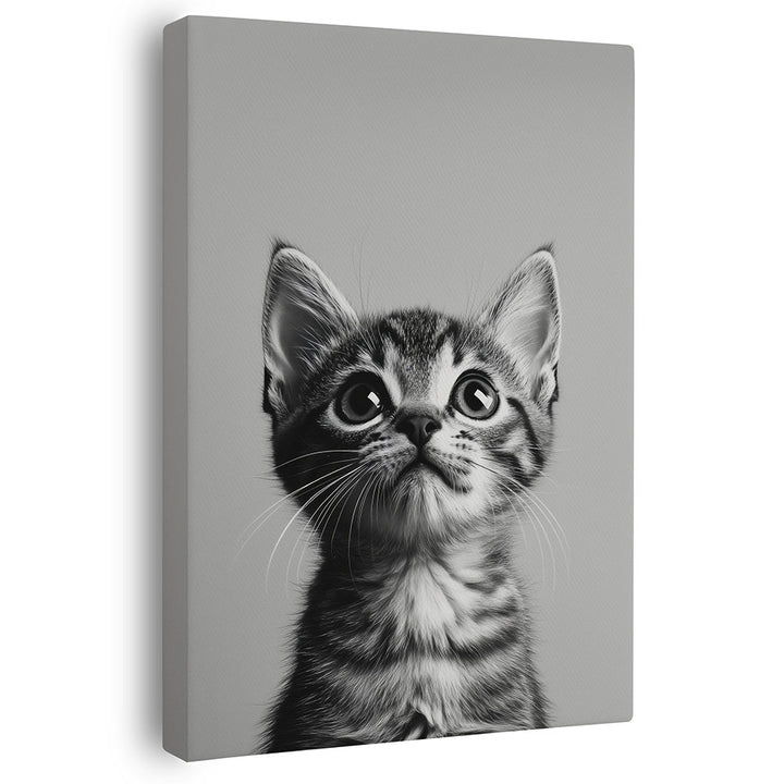 Leinwand Wandbild Katze Schwarz Weiß 
