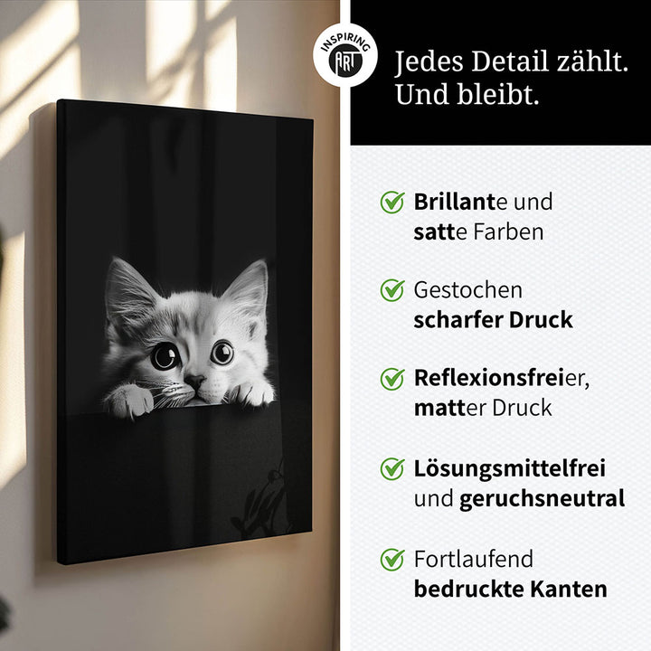 Leinwandbild: Tierporträt Katze "Misty" in Schwarz-Weiß