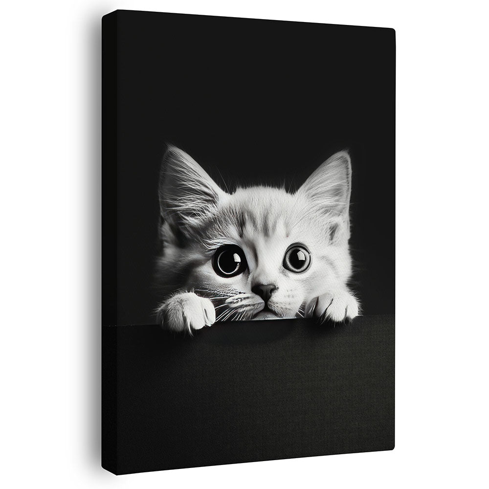 Leinwandbild Katze Schwarz Weiß