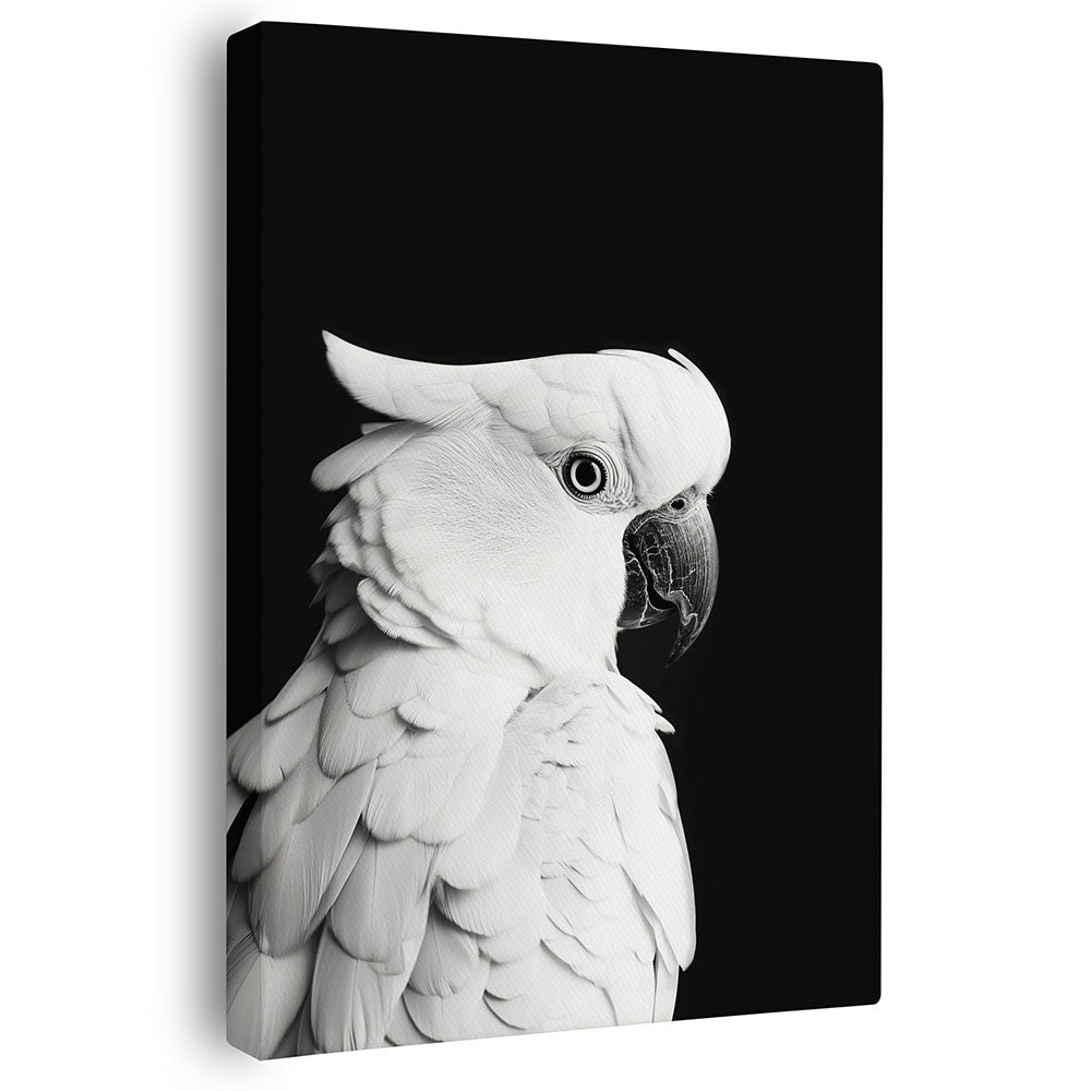 Wandbild  Papagei Schwarz Weiß