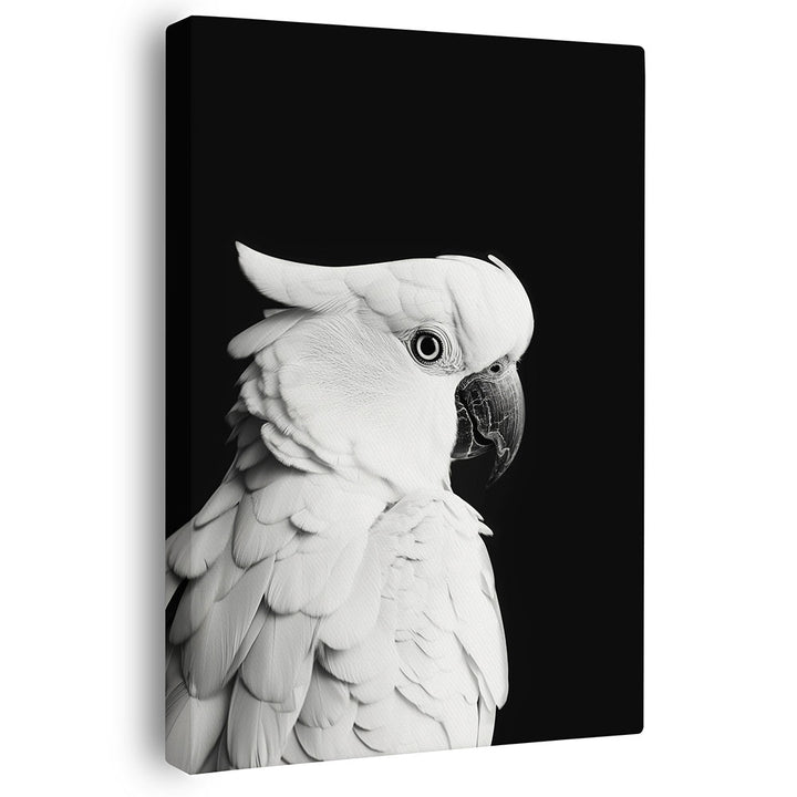 Wandbild  Papagei Schwarz Weiß