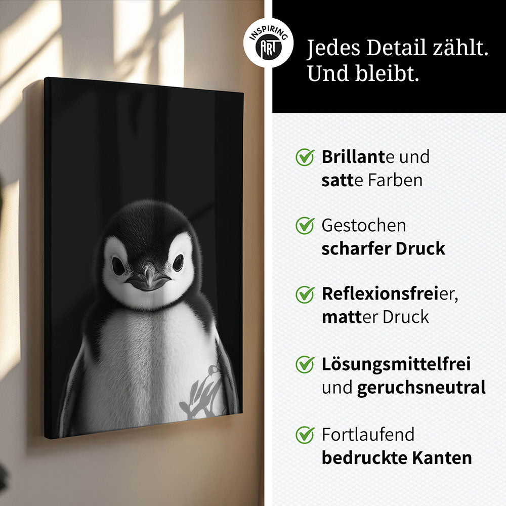 Leinwandbild: Tierporträt Pinguin "Icy" in Schwarz-Weiß