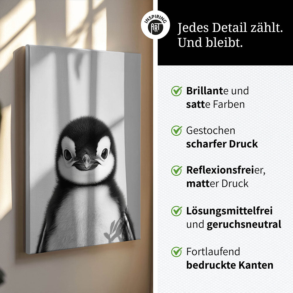 Leinwandbild: Tierporträt Pinguin "Flake" in Schwarz-Weiß