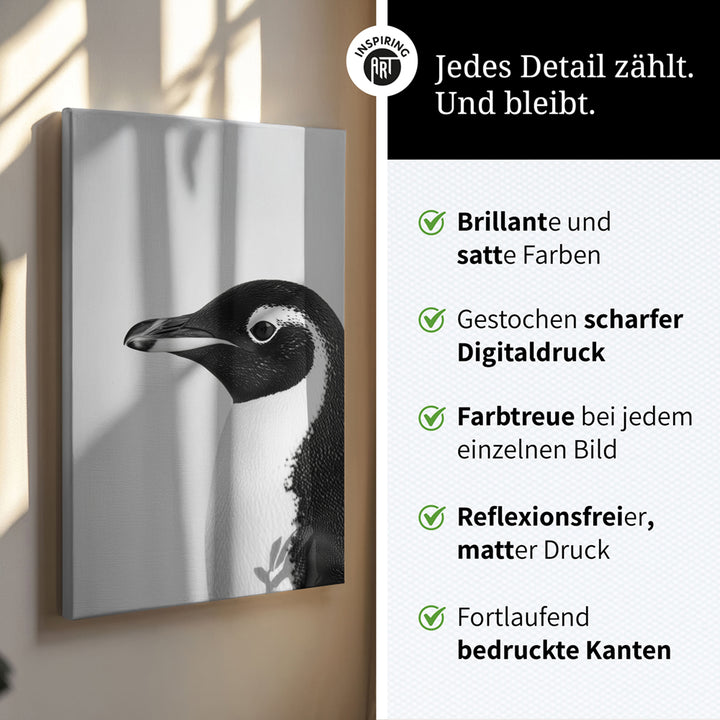 Leinwandbild: Tierporträt Pinguin "Marble" in Schwarz-Weiß