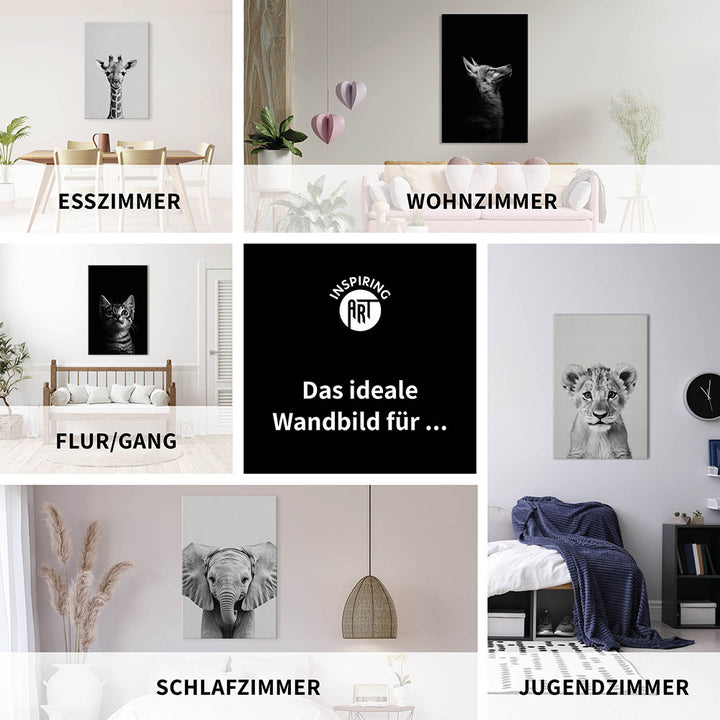 Leinwandbild: Tierporträt Pinguin "Marble" in Schwarz-Weiß