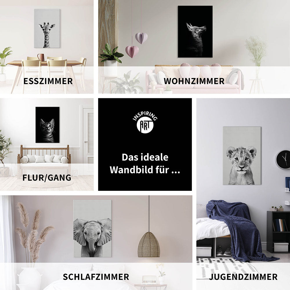 Leinwandbild: Tierporträt Pinguin "Icy" in Schwarz-Weiß