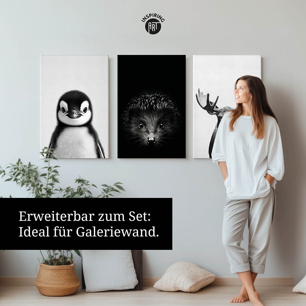 Leinwandbild: Tierporträt Pinguin "Marble" in Schwarz-Weiß