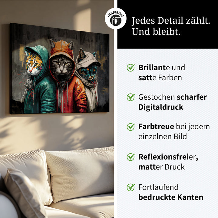 Leinwand Bild Katzen Cats Cool