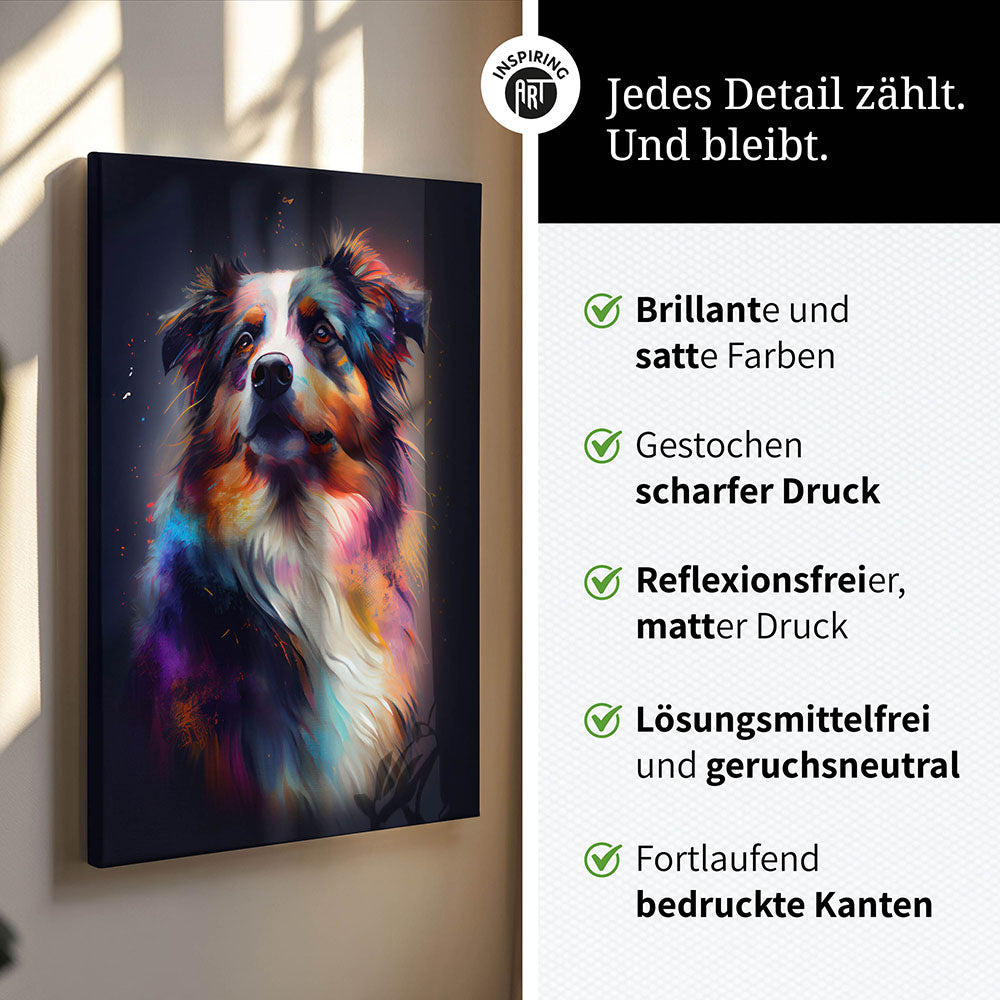 Australian Shepherd Leinwandbild 