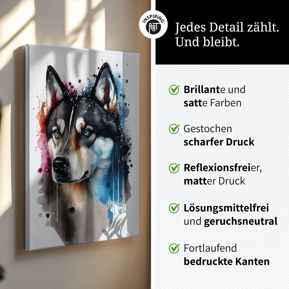 Husky Leinwandbild 