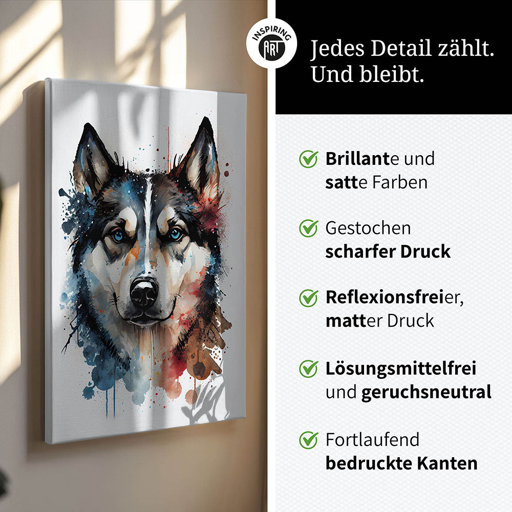 Husky Leinwandbild 