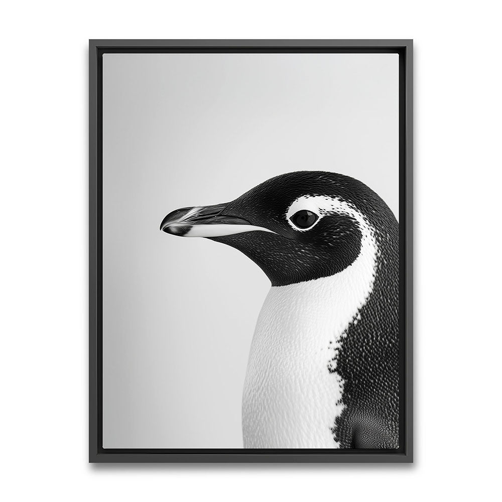 Leinwandbild mit Rahmen  Pinguin Schwarz Weiß