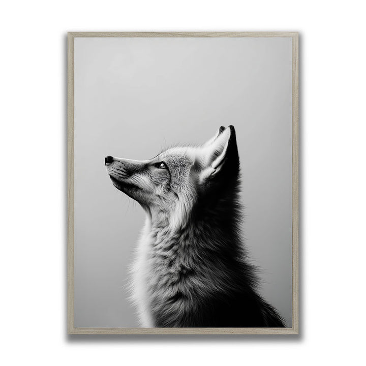 Gerahmtes Poster Tierposter Fuchs Schwarz Weiß