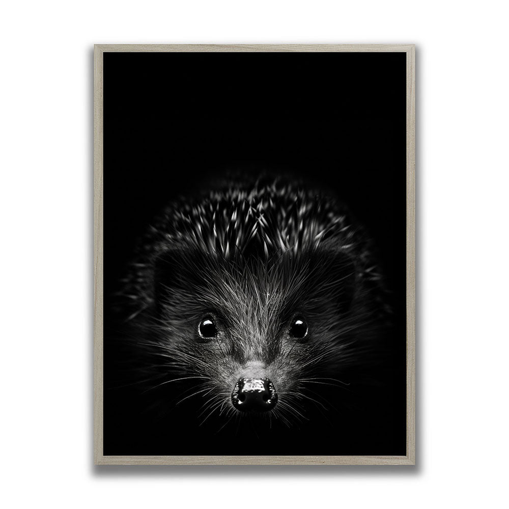 Poster mit Rahmen Tierbild Igel Schwarz Weiß