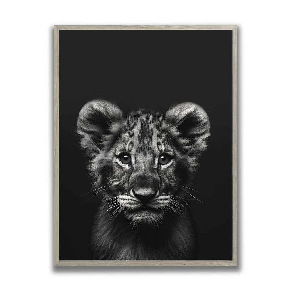 Poster Tierposter mit Rahmen Löwenbaby Schwarz Weiß
