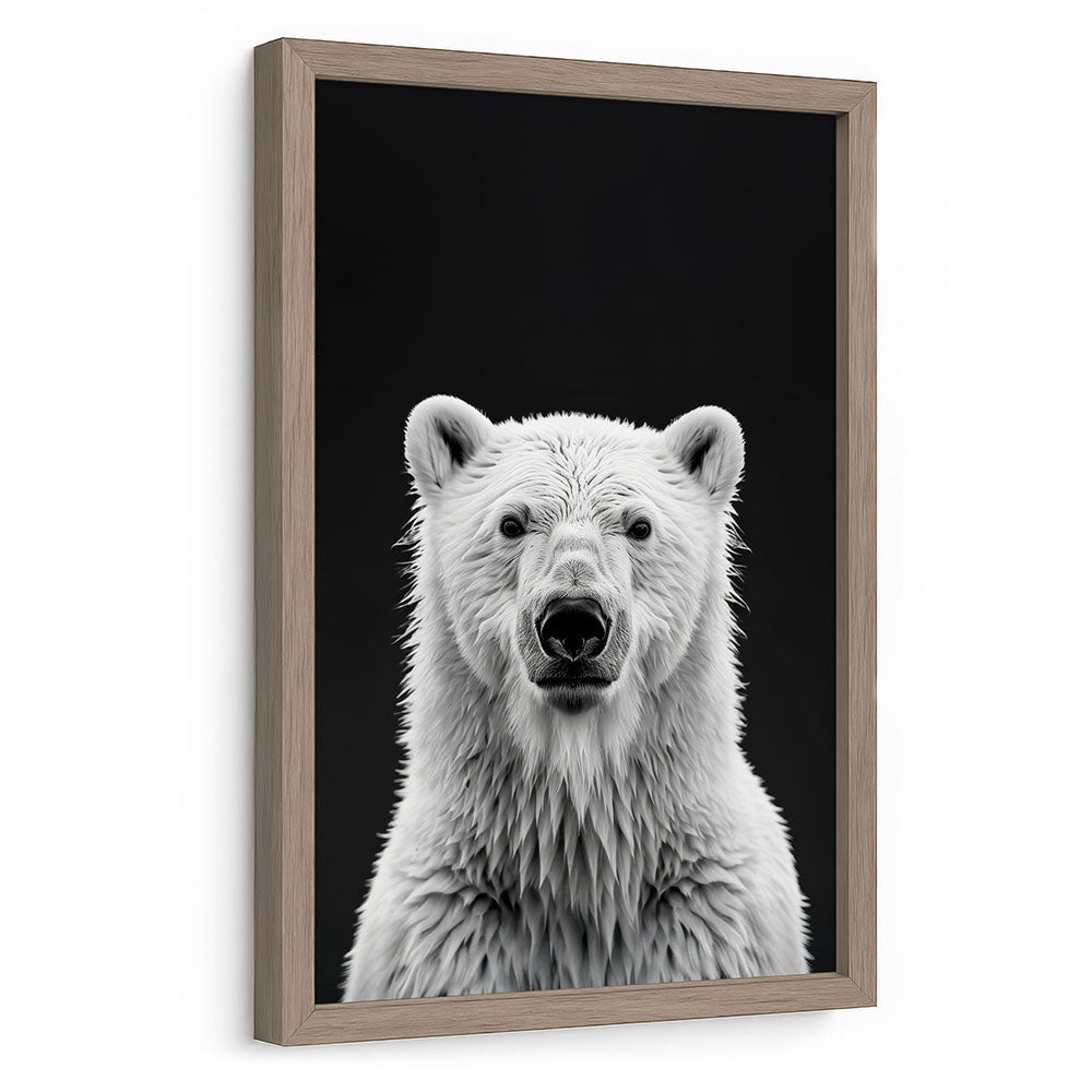 Poster Eisbär mit Rahmen Schwarz-Weiß 