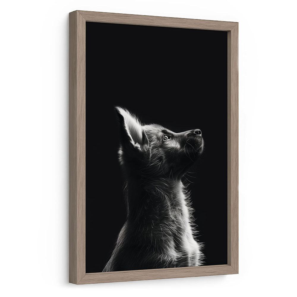 Gerahmtes Poster Hund