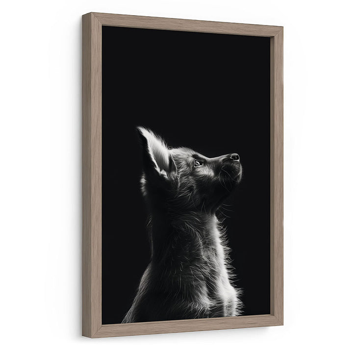 Gerahmtes Poster Hund