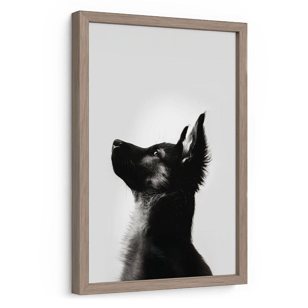 Gerahmtes Poster Hund