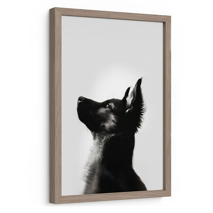 Gerahmtes Poster Hund