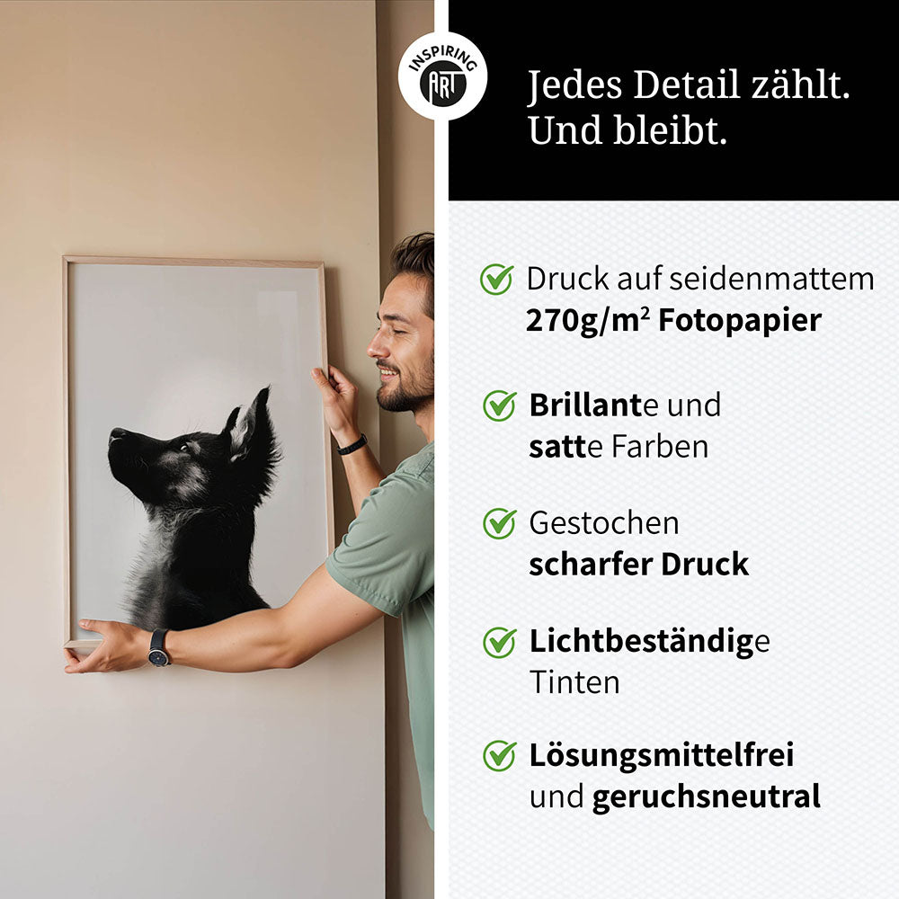 Poster: Tierporträt Hund "Baxter" in Schwarz-Weiß