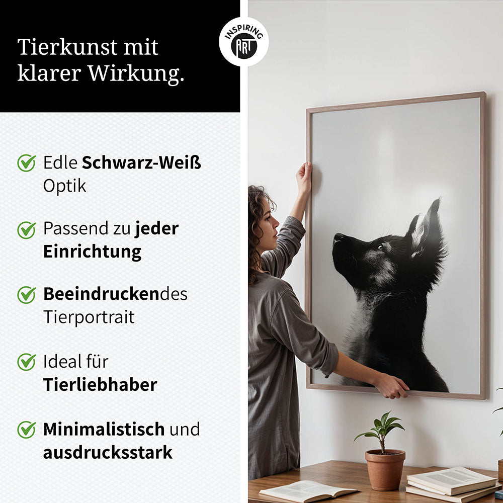 Poster: Tierporträt Hund "Baxter" in Schwarz-Weiß